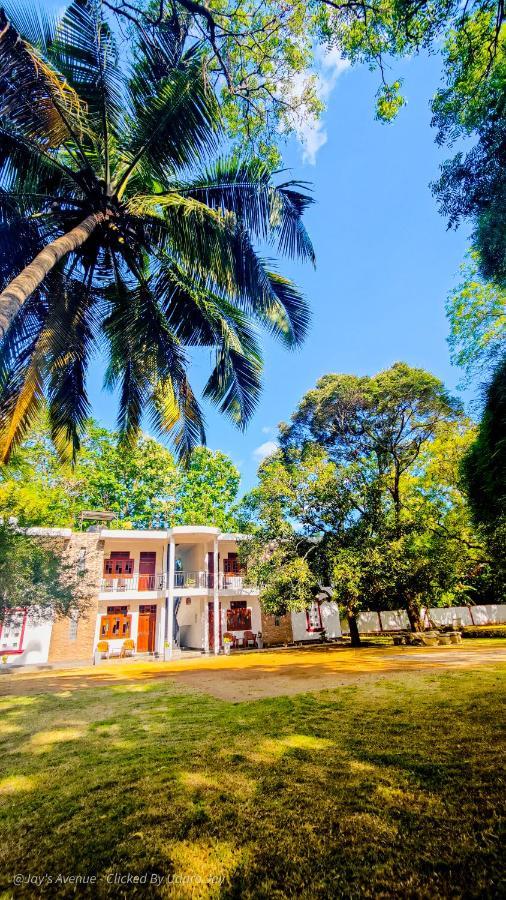 فندق اوداوالاويفي  Jay'S Avenue المظهر الخارجي الصورة